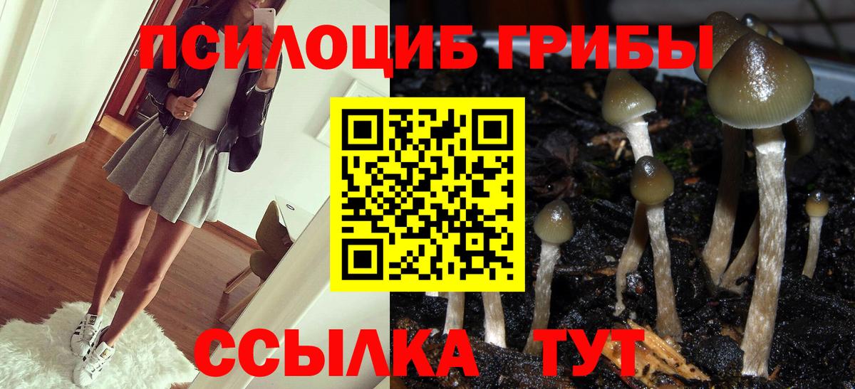 Псилоцибиновые грибы Psilocybine cubensis  Вход с VPN  Елец 